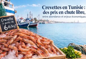Crevettes fraîches sur un étal de marché en Tunisie
